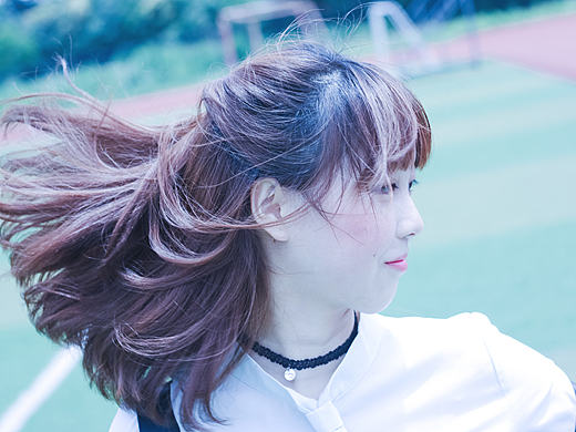 摄影|2016年の美しい物語