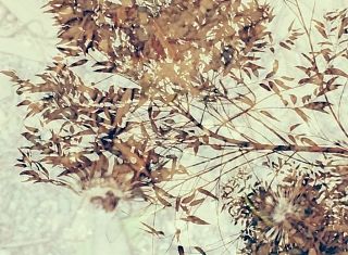 水·影