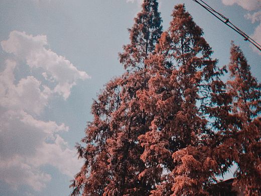 夏天要结束了呀