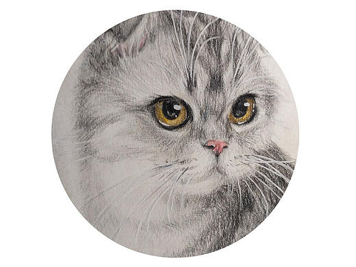 彩铅折耳大脸猫 纪念大学里陪伴我的傻脸（个人主页-ZMTczNjg0Njg=） - 绘画 - 站酷设计师Yokatee原创素材 - 站酷ZCOOL