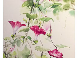 插画