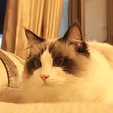 Boby7的头像
