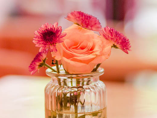 我有少女心附体,青春无敌