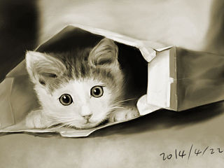 萌貓一只（個(gè)人主頁-ZMzU1MDA2NA==） - 創(chuàng)作習(xí)作 - 站酷設(shè)計(jì)師NONO100原創(chuàng)素材 - 站酷ZCOOL