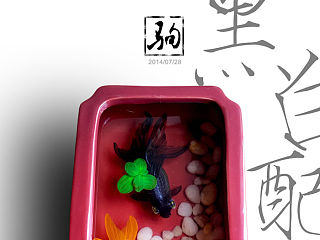驹：树脂画作品集，凝固时间的美。