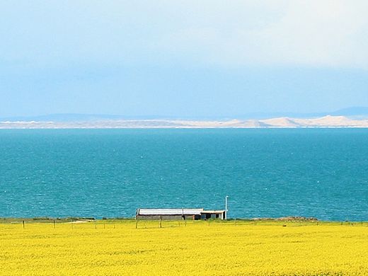面朝大海