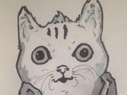 呆猫（个人主页-ZMTI4NjUwNTI=） - 创作习作 - 站酷设计师骚年八万原创素材 - 站酷ZCOOL