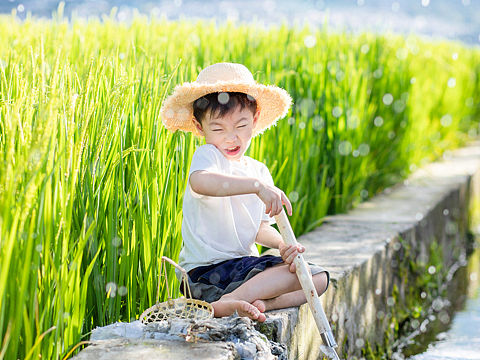 抓住夏天的尾巴