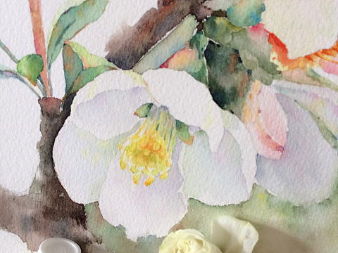 春暖花开时节
