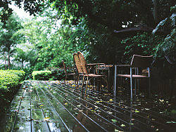 夏&nbsp;雨