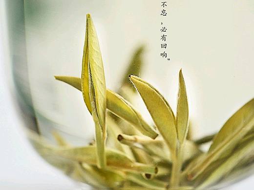 茶