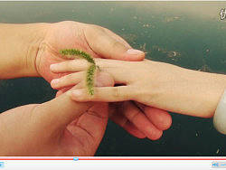 翔云三部曲之 大龙虾与小虾米（个人主页-ZMTYzNTI2NA==） - 文案/策划 - 站酷设计师lixiangpeng1122原创素材 - 站酷ZCOOL