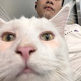 林浚凯的头像