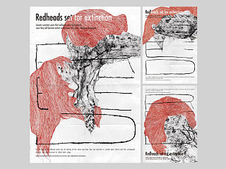 紅髮終將滅亡 Redheads set for extinction