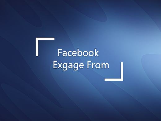 Facebook&nbsp;-&nbsp;Exgage&nbsp;交互表单界面设计