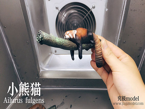 究极model studio-小熊猫2.0