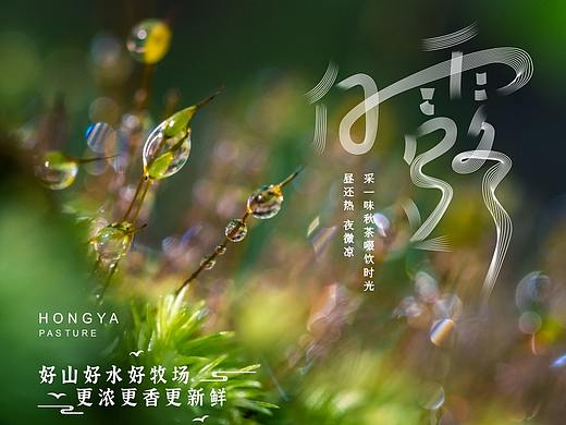 二十四節(jié)氣海報(bào)-白露（個(gè)人主頁-ZNjcwNTM4NDQ=） - 海報(bào) - 站酷設(shè)計(jì)師許森然原創(chuàng)素材 - 站酷ZCOOL