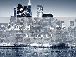 企业网站