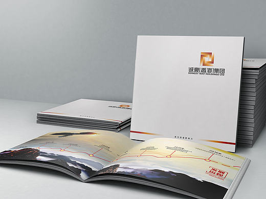 集团画册  企业画册 公司画册