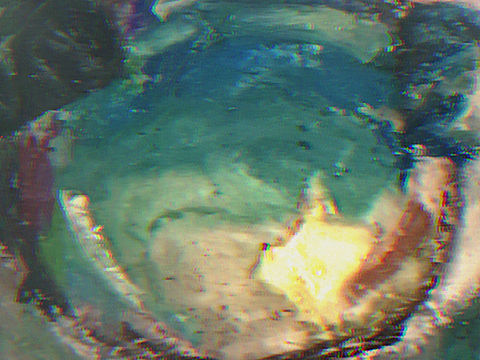 丹可林重彩棒下的兽设~