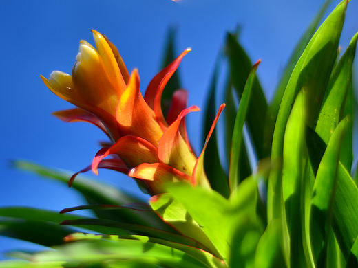 隨手小拍（個人主頁-ZMzEyNTg2NDg=） - 產(chǎn)品攝影 - 站酷設(shè)計師心尚善原創(chuàng)素材 - 站酷ZCOOL