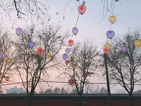 摄影作品（个人主页-ZMzMxNDMzOTI=） - 风光摄影 - 站酷设计师藤鹿原创素材 - 站酷ZCOOL