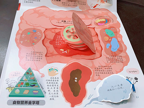 人体立体书