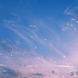 些蓝藻的头像