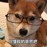 walllee的头像