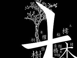 学习