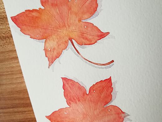 枫叶:maple_leaf: