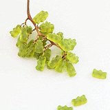 marishi的头像