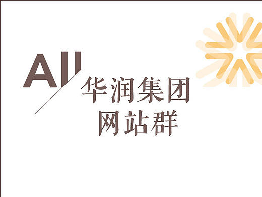 华润集团作品集