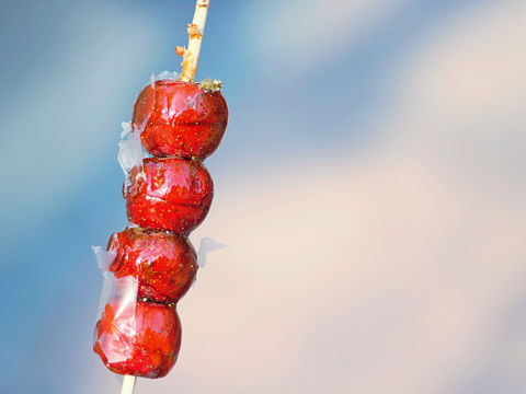 糖葫芦呀（个人主页-ZMzI0NjUyMDQ=） - 产品摄影 - 站酷设计师常穆原创素材 - 站酷ZCOOL