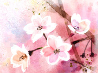 桜（個人主頁-ZNjUwOTUwNA==） - 創(chuàng)作習(xí)作 - 站酷設(shè)計(jì)師AnnaDeer原創(chuàng)素材 - 站酷ZCOOL