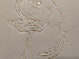 皮雕拉布拉多犬，进行中！