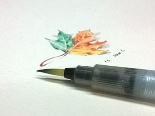 枫叶