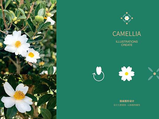 符史屹品牌设计顾问机构/侯臣山柚油产品包装系列