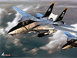 F-14D
