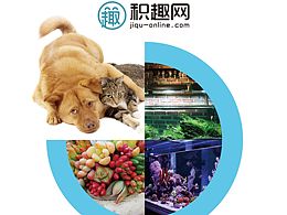 网上商城宣传单