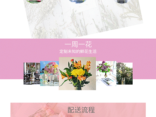 植的爱网页上色