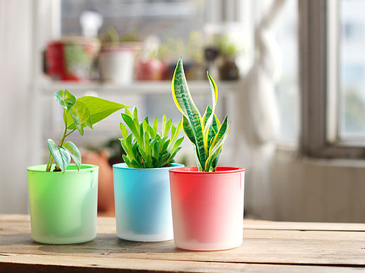 雙層自動(dòng)蓄水花盆（個(gè)人主頁(yè)-ZMTQ4MDUxODg=） - 電商 - 站酷設(shè)計(jì)師打盹的松鼠原創(chuàng)素材 - 站酷ZCOOL