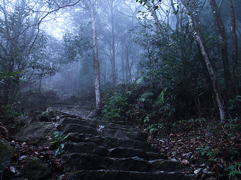 轻烟薄雾,少年行乐处