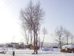 手机摄影 家乡的风景（个人主页-ZMjE0OTQyNA==） - 人文/纪实摄影 - 站酷设计师之式微笑原创素材 - 站酷ZCOOL