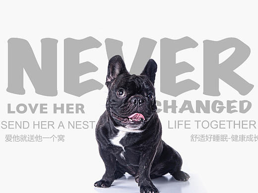 宠物、简约、天猫、海报、清新、大气、国际站、淘宝首页、二级页、活动页、活动图、萌宠、猫狗窝、阿里巴巴