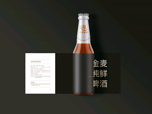 啤酒包裝（個(gè)人主頁-ZNTQ0ODIwNjQ=） - 包裝 - 站酷設(shè)計(jì)師卡西莫西原創(chuàng)素材 - 站酷ZCOOL