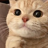 风里栖的头像