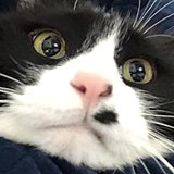 PENNYHAN的头像