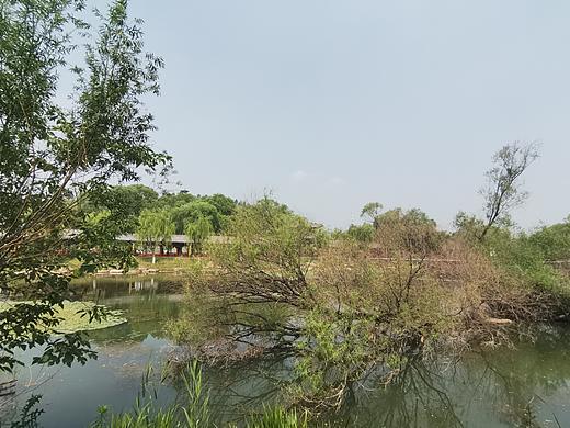 泰安西湖