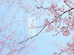 花艺、